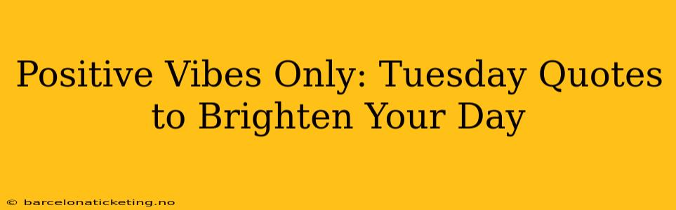 Positive Vibes Only: Tuesday Quotes to Brighten Your Day