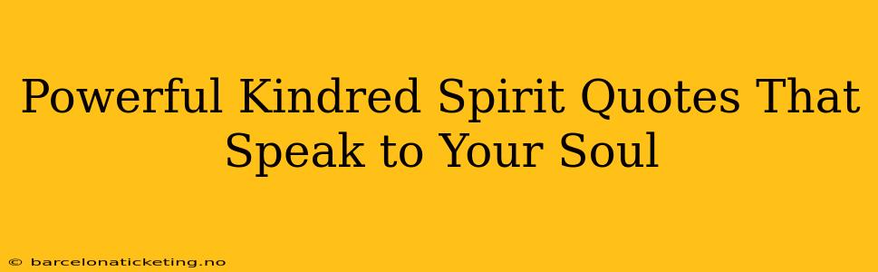 Powerful Kindred Spirit Quotes That Speak to Your Soul