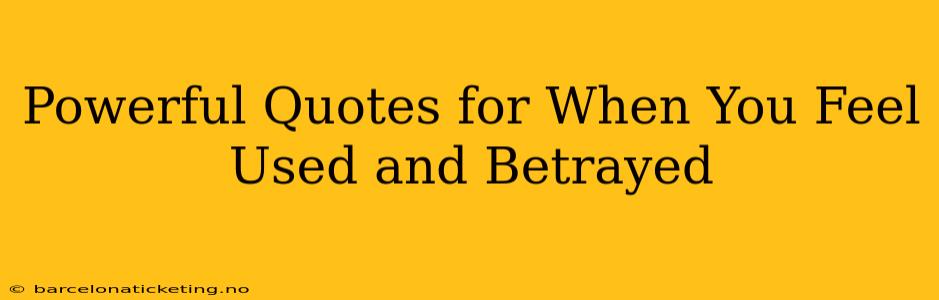 Powerful Quotes for When You Feel Used and Betrayed