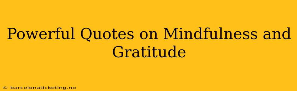 Powerful Quotes on Mindfulness and Gratitude