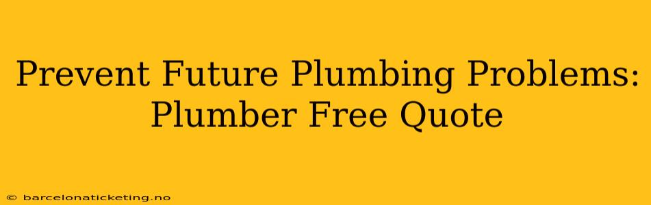 Prevent Future Plumbing Problems: Plumber Free Quote