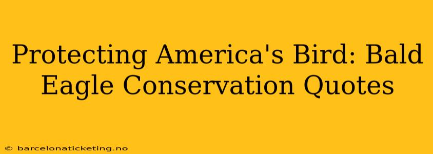 Protecting America's Bird: Bald Eagle Conservation Quotes