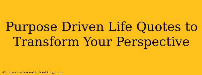 Purpose Driven Life Quotes to Transform Your Perspective