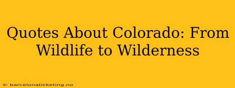 Quotes About Colorado: From Wildlife to Wilderness