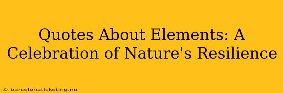 Quotes About Elements: A Celebration of Nature's Resilience