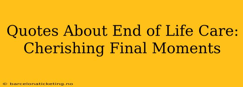Quotes About End of Life Care:  Cherishing Final Moments