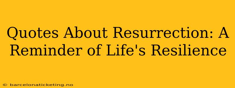 Quotes About Resurrection: A Reminder of Life's Resilience