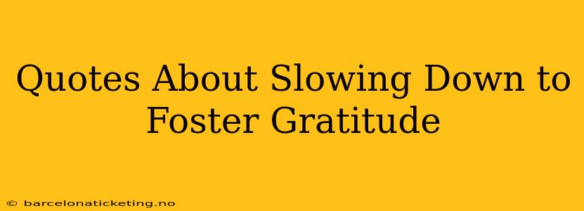 Quotes About Slowing Down to Foster Gratitude