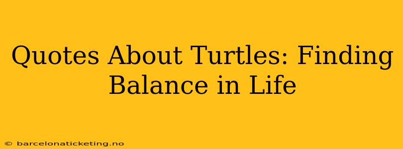 Quotes About Turtles: Finding Balance in Life