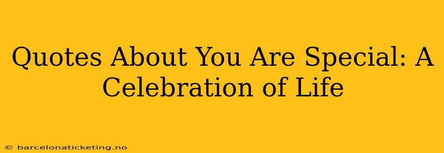 Quotes About You Are Special: A Celebration of Life