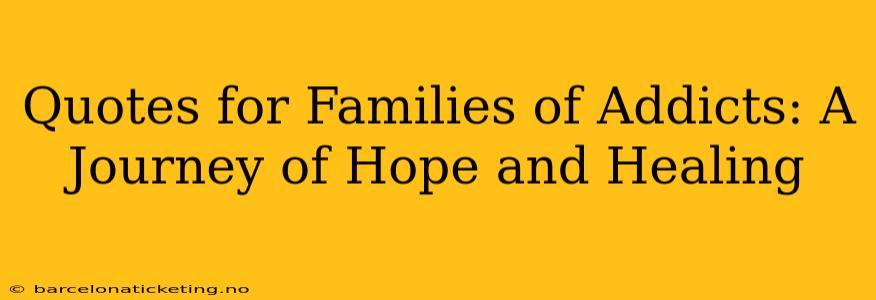 Quotes for Families of Addicts: A Journey of Hope and Healing