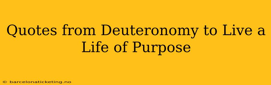 Quotes from Deuteronomy to Live a Life of Purpose