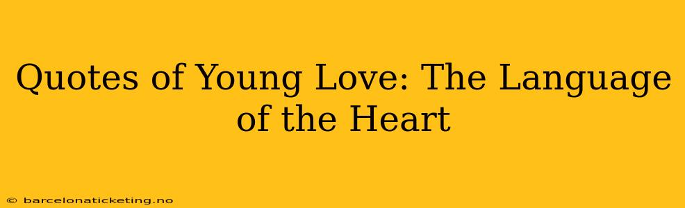 Quotes of Young Love: The Language of the Heart