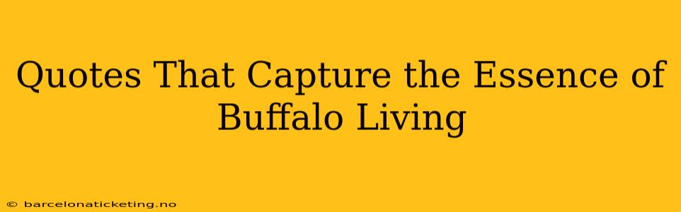 Quotes That Capture the Essence of Buffalo Living