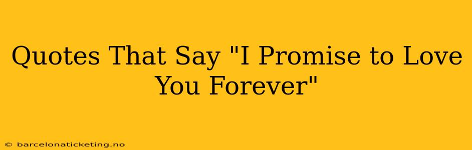 Quotes That Say "I Promise to Love You Forever"