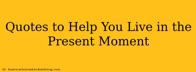Quotes to Help You Live in the Present Moment