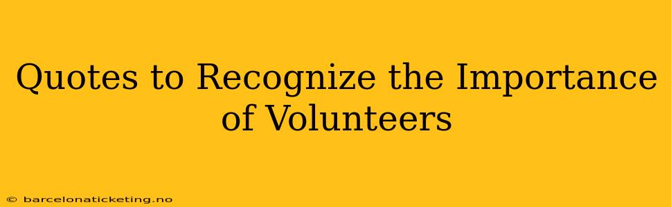 Quotes to Recognize the Importance of Volunteers
