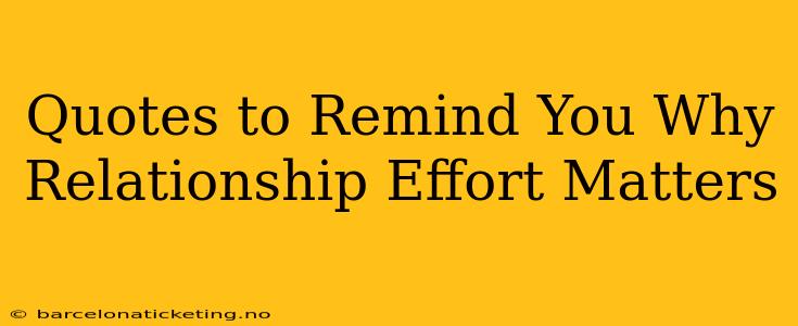 Quotes to Remind You Why Relationship Effort Matters