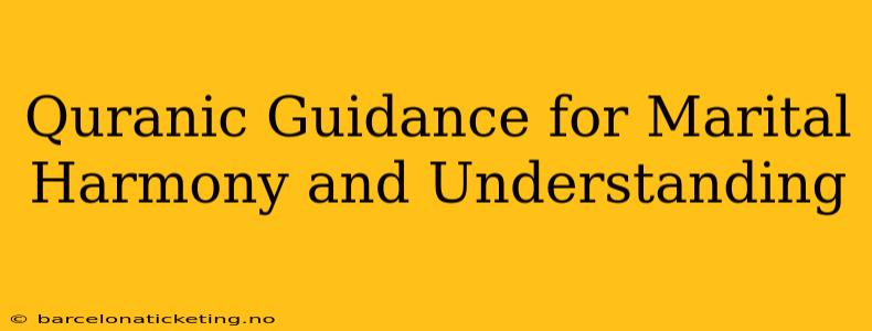 Quranic Guidance for Marital Harmony and Understanding
