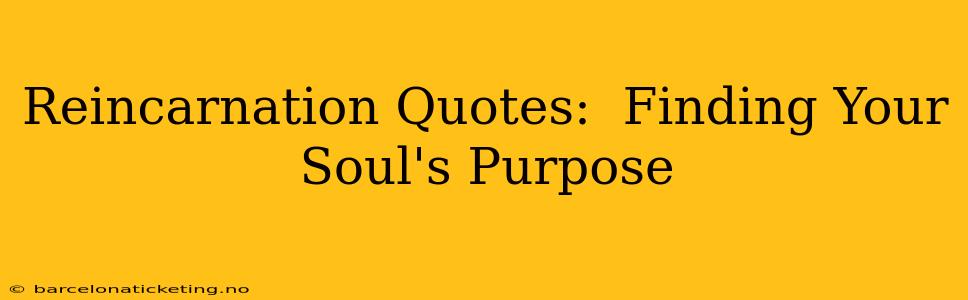 Reincarnation Quotes:  Finding Your Soul's Purpose