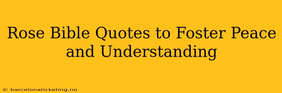 Rose Bible Quotes to Foster Peace and Understanding
