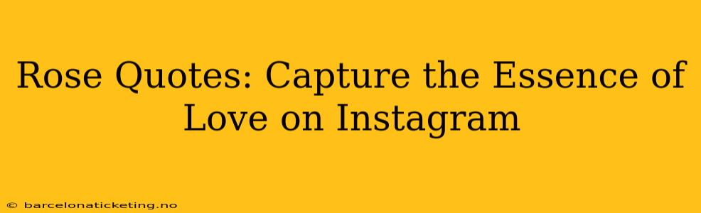 Rose Quotes: Capture the Essence of Love on Instagram