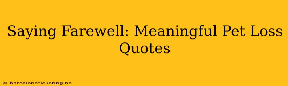 Saying Farewell: Meaningful Pet Loss Quotes