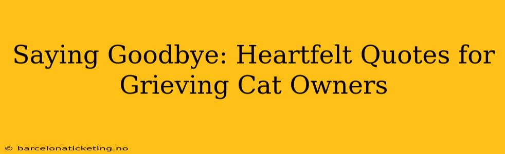 Saying Goodbye: Heartfelt Quotes for Grieving Cat Owners