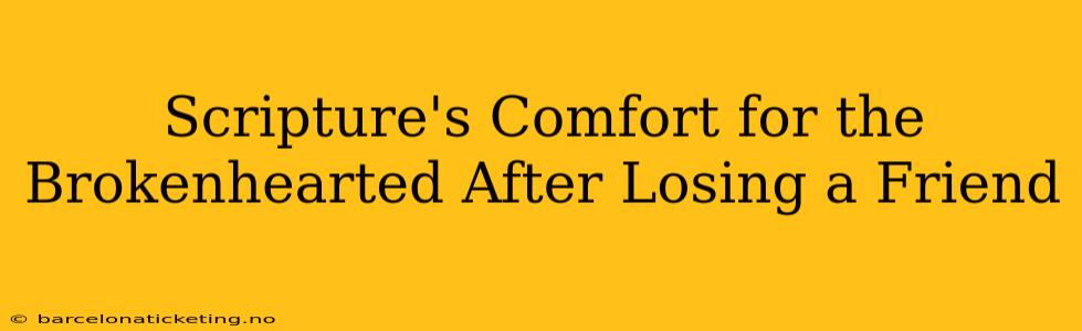 Scripture's Comfort for the Brokenhearted After Losing a Friend