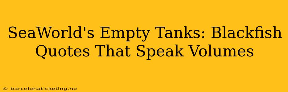 SeaWorld's Empty Tanks: Blackfish Quotes That Speak Volumes