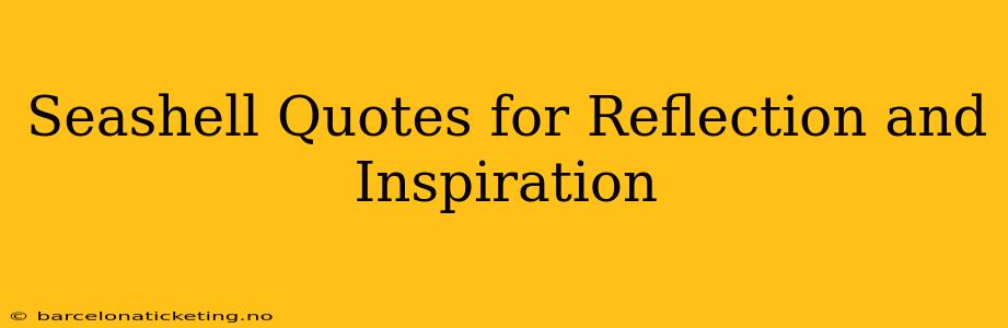 Seashell Quotes for Reflection and Inspiration