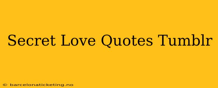 Secret Love Quotes Tumblr