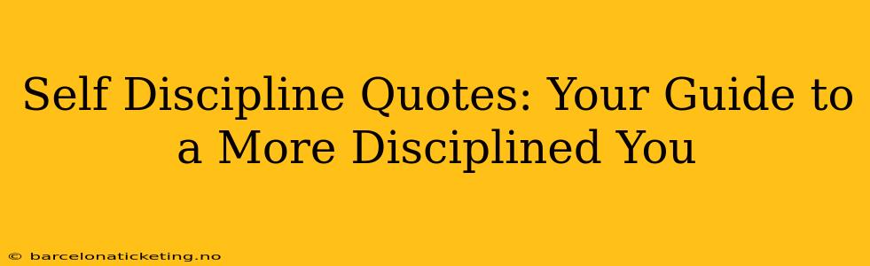 Self Discipline Quotes: Your Guide to a More Disciplined You