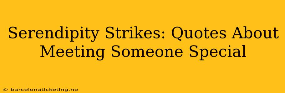 Serendipity Strikes: Quotes About Meeting Someone Special