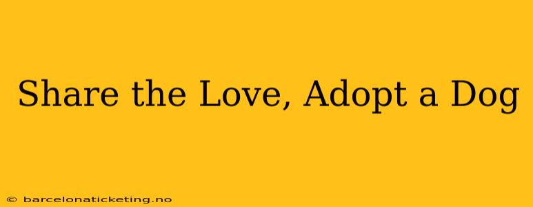 Share the Love, Adopt a Dog