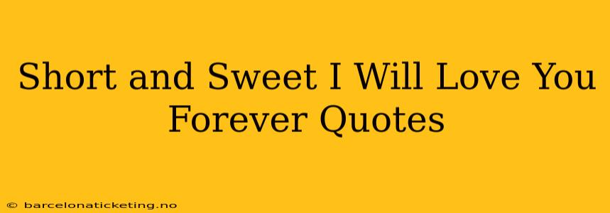 Short and Sweet I Will Love You Forever Quotes