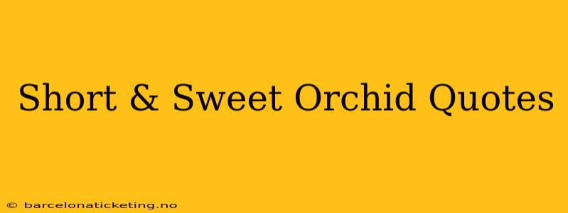 Short & Sweet Orchid Quotes