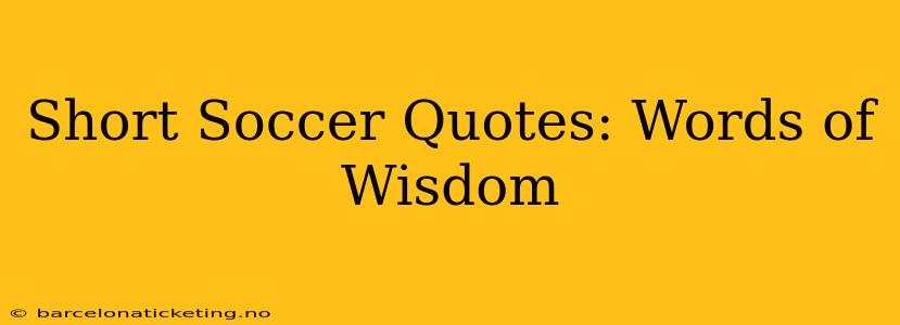 Short Soccer Quotes: Words of Wisdom