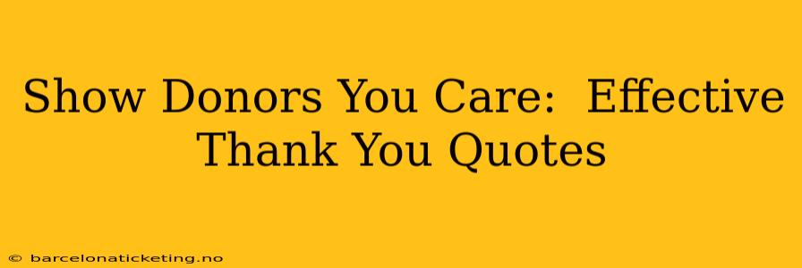 Show Donors You Care:  Effective Thank You Quotes