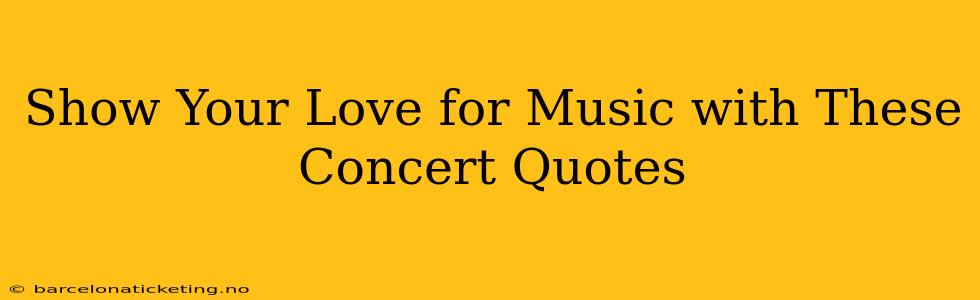 Show Your Love for Music with These Concert Quotes