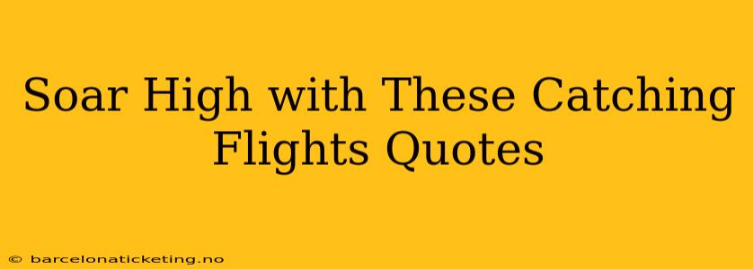 Soar High with These Catching Flights Quotes