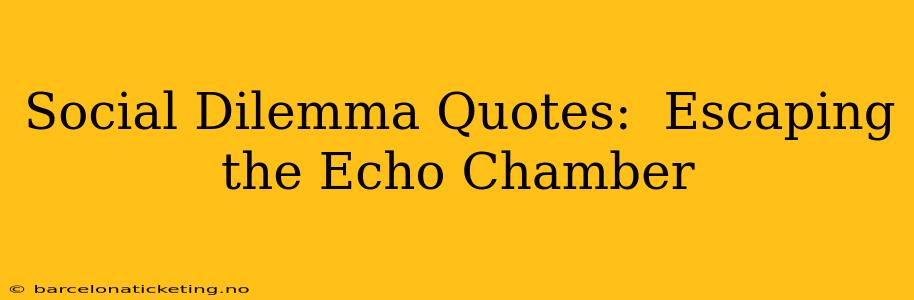 Social Dilemma Quotes:  Escaping the Echo Chamber
