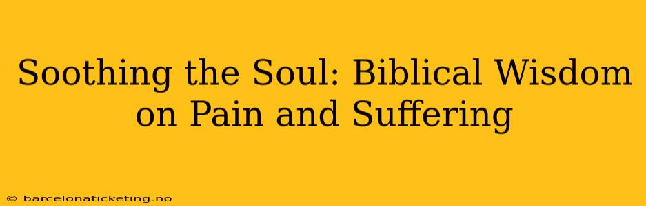 Soothing the Soul: Biblical Wisdom on Pain and Suffering