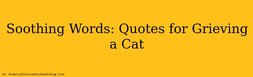 Soothing Words: Quotes for Grieving a Cat