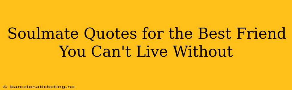 Soulmate Quotes for the Best Friend You Can't Live Without
