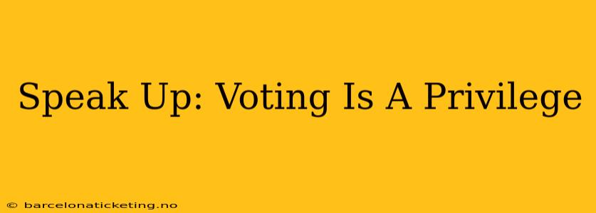 Speak Up: Voting Is A Privilege