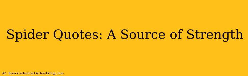 Spider Quotes: A Source of Strength