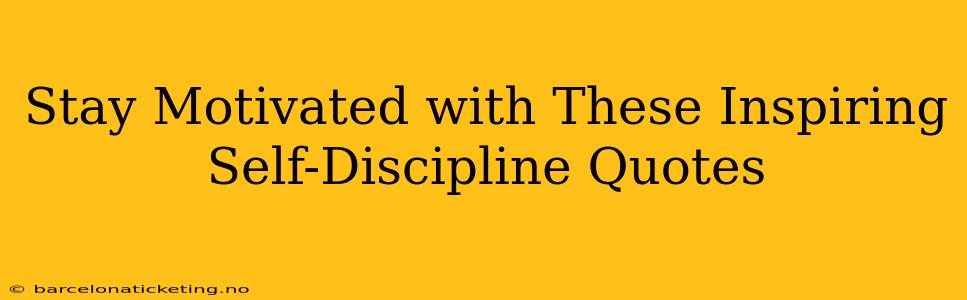Stay Motivated with These Inspiring Self-Discipline Quotes