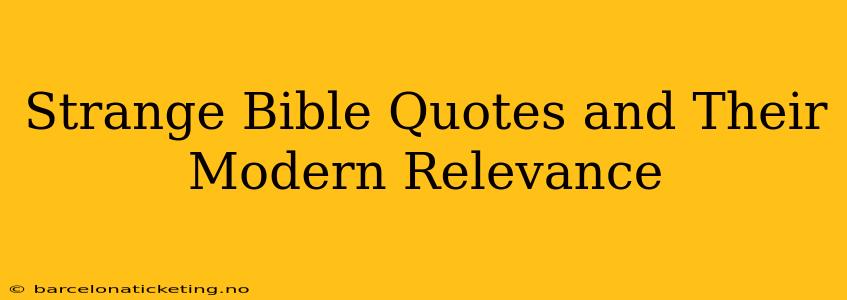 Strange Bible Quotes and Their Modern Relevance