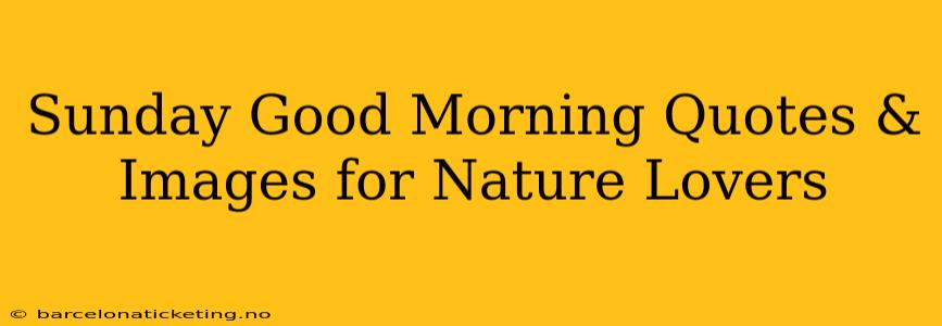 Sunday Good Morning Quotes & Images for Nature Lovers